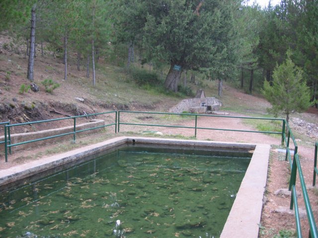 Fuente Matahombres - Camarena de la Sierra