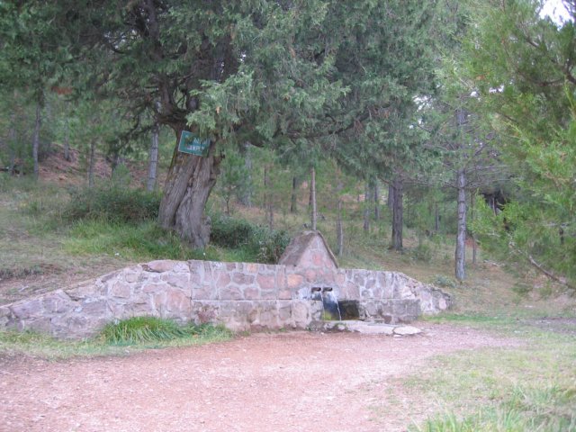 Fuente Matahombres - Camarena de la Sierra