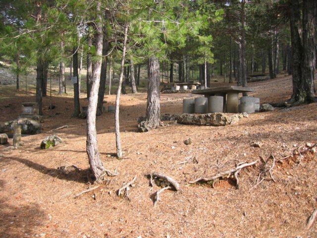 Fuente La Miel - Camarena de la Sierra