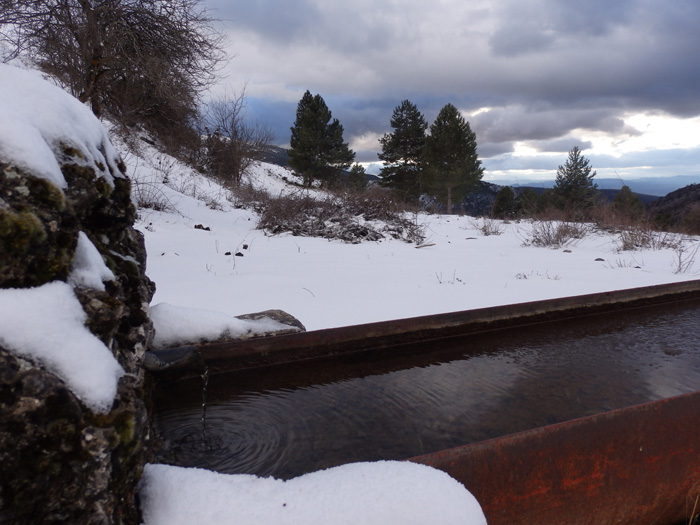 Fuente El Pino Manderro - Camarena de la Sierra