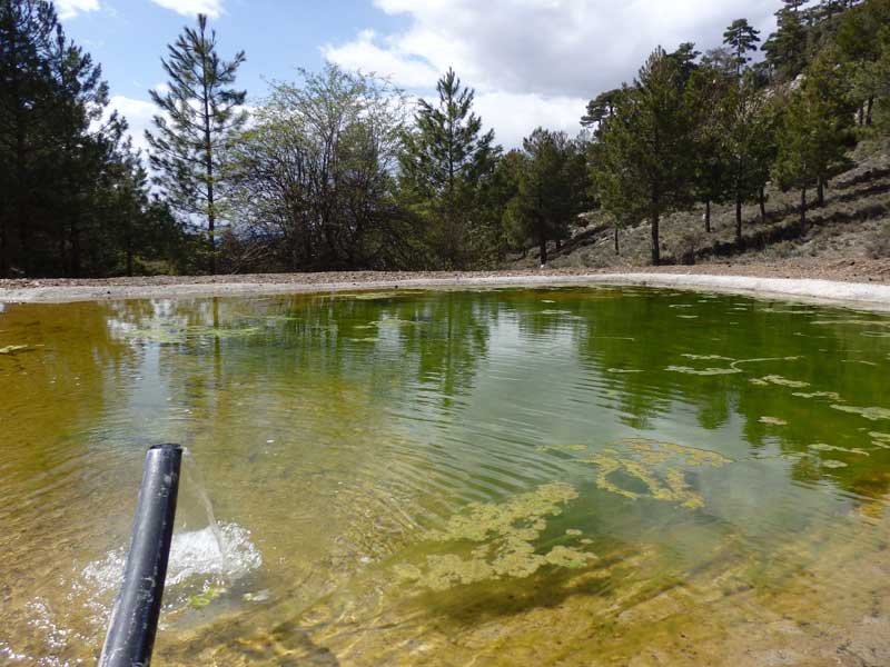 Camarena de la Sierra