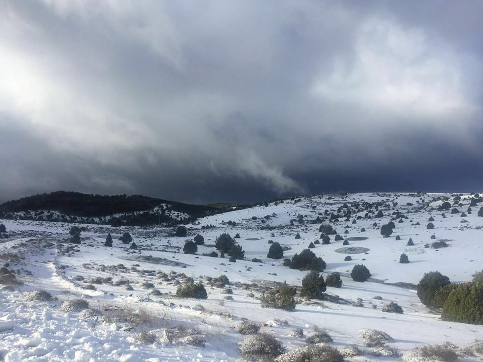 Nevada 7 Febrero 2016 Camarena de la Sierra